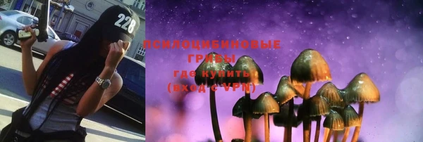 стаф Алексеевка