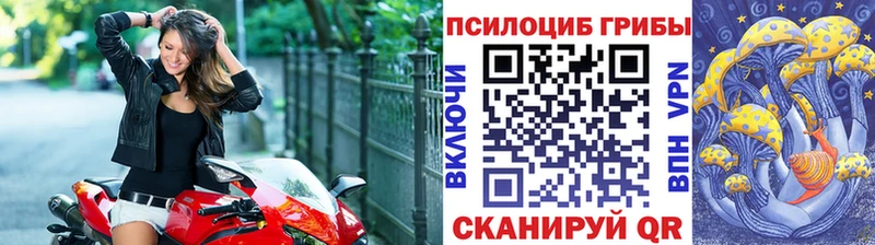 mega   Куса  Псилоцибиновые грибы Magic Shrooms 