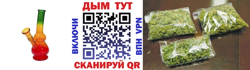 Конопля Amnesia  Куса 